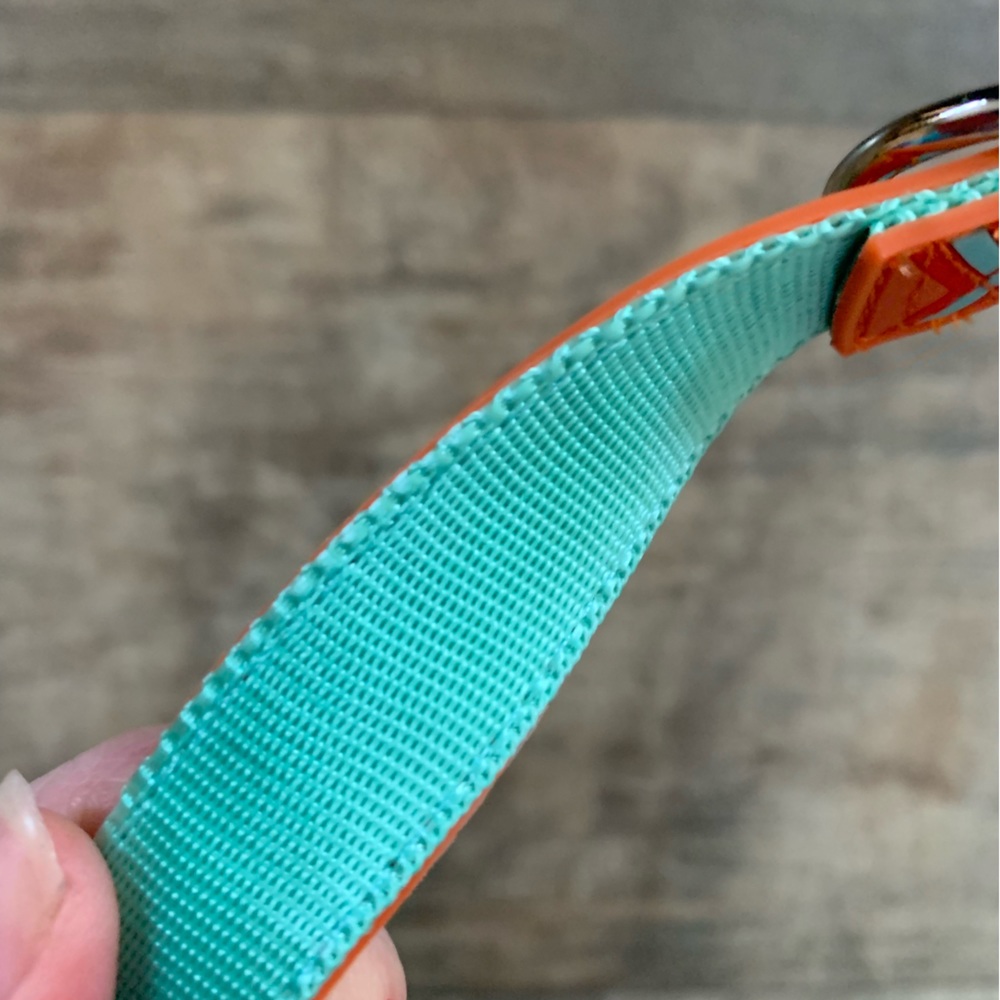 New petmate Easy clean durable dog colllar medium - Picture 4 of 5